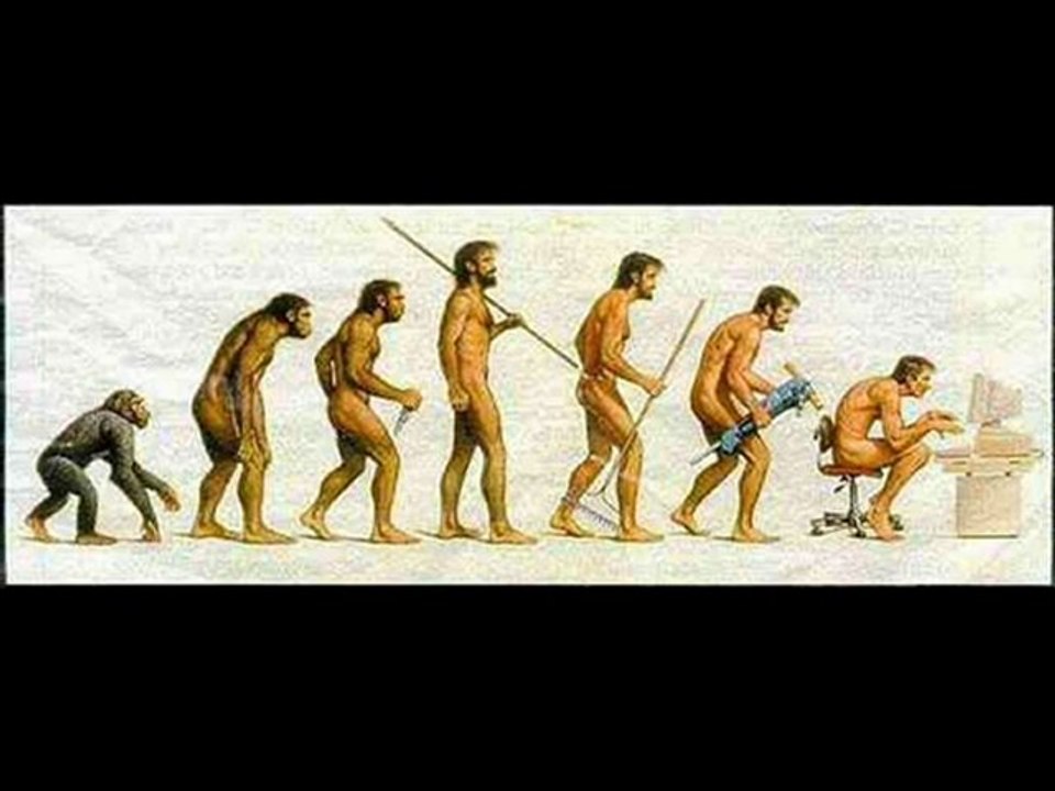 Feloche Darwin Avait Raison