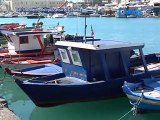 Sel: Incontro Con I Pescatori Di Catania - News D1 Television TV