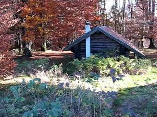 les Vosges - WISSGRUT Les Plaines du Trémontkopf