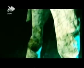 Alon da loco et say la vie - Ima