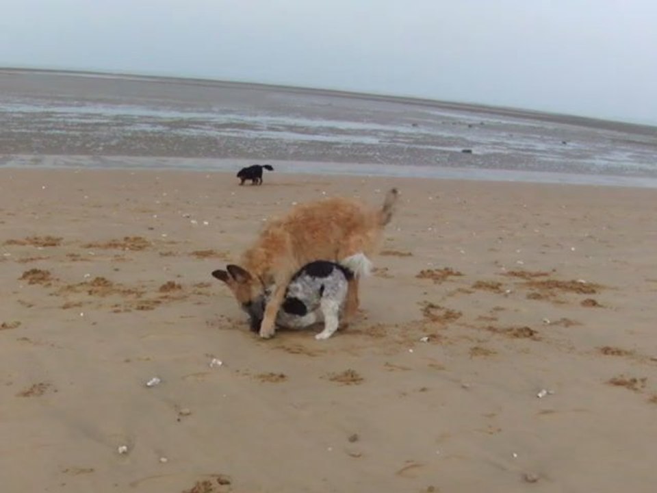 le trio sur la plage