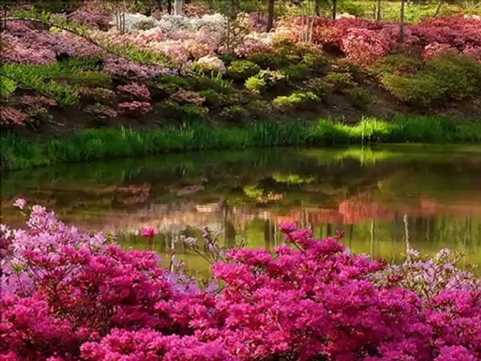 Harika Bir İlahi Nihat ATEŞ