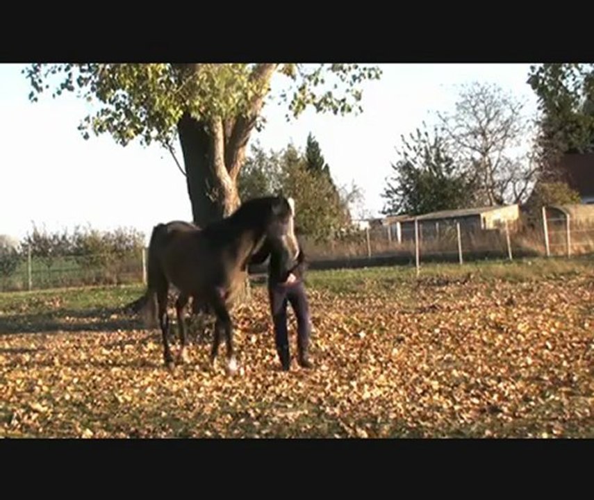 Espri. Wenn die Beine jucken ))))