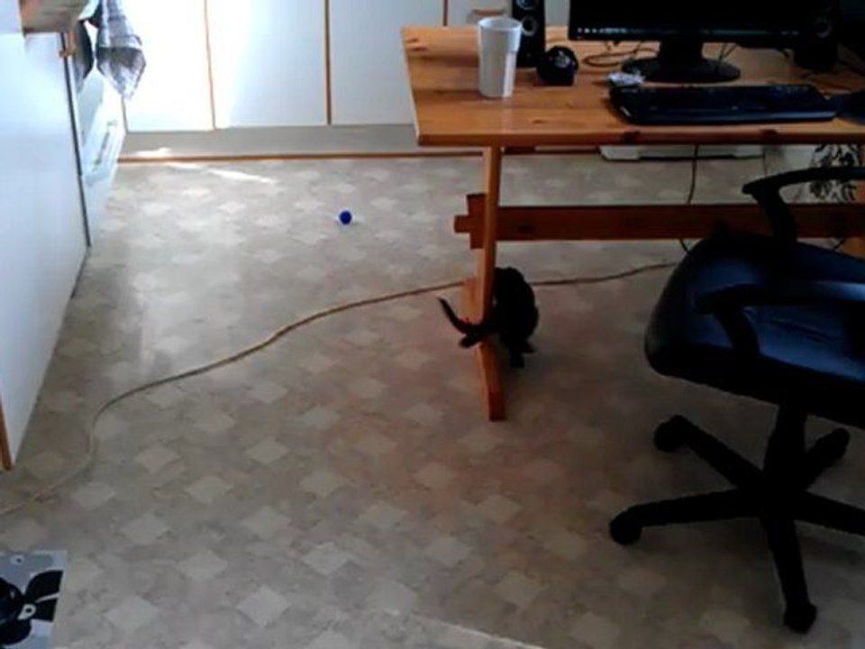 VIDEO0144