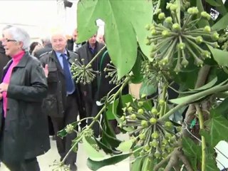 Inauguration du Festival 2012