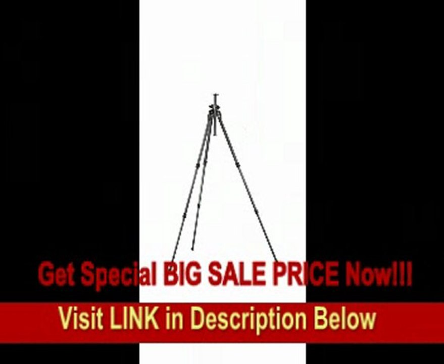 BEST PRICE Gitzo GT2531EX Series 2 Carbon 6x 3 Section G-Lock Explorer Tripod - Replaces Gitzo GT2530EX (Black)