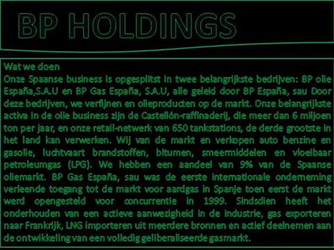 BP HOLDINGS - Wat we doen