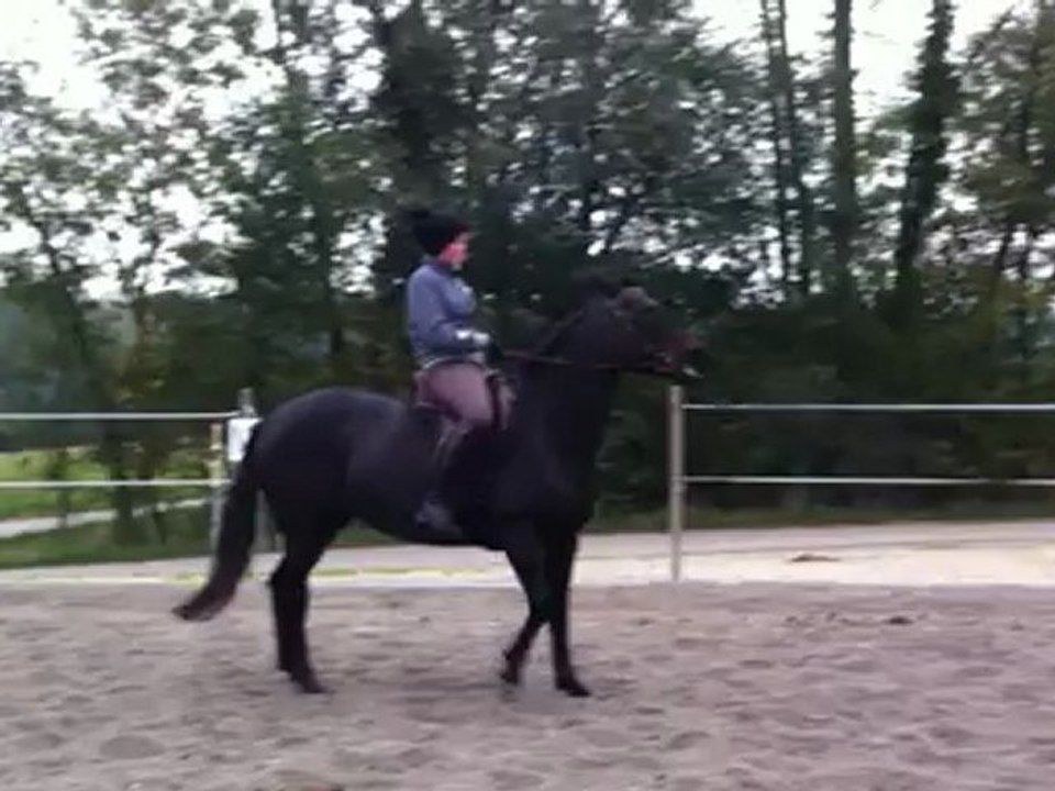 Kenya_pas_trot