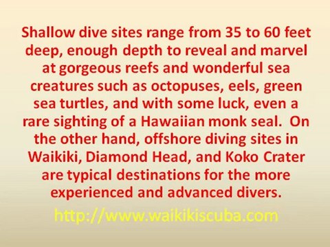 Enjoy a Hawaiian Scuba Diving Trip on Your Next Adventure