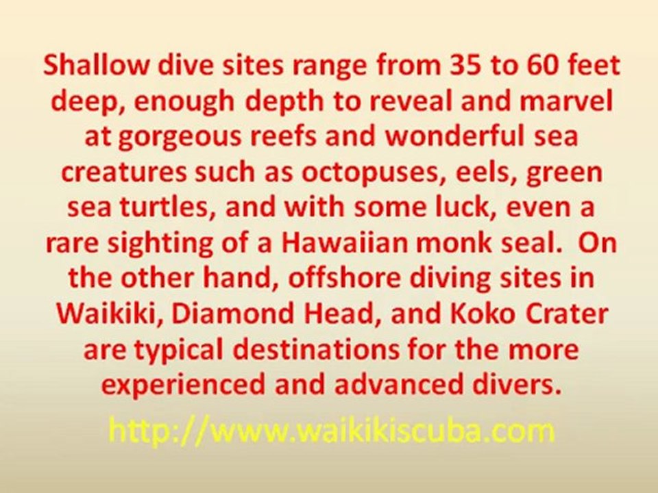 Enjoy a Hawaiian Scuba Diving Trip on Your Next Adventure