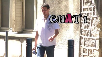 CHAT dans AUBENAS ( 2010 )