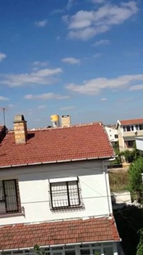 oyun kuşu yavru dumanlı 3