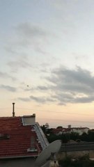 oyun kuşu yavru dumanlı 4