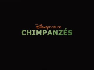 CHIMPANZÉS - Bande-Annonce DisneyNature [VF|HD1080p]