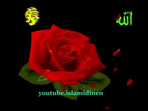 Benim Kutlu Rehberim Sensin Ya Rasulallah (S.A.V.)