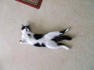 Rack, Naturally: Eco-Friendly Storage Solutions