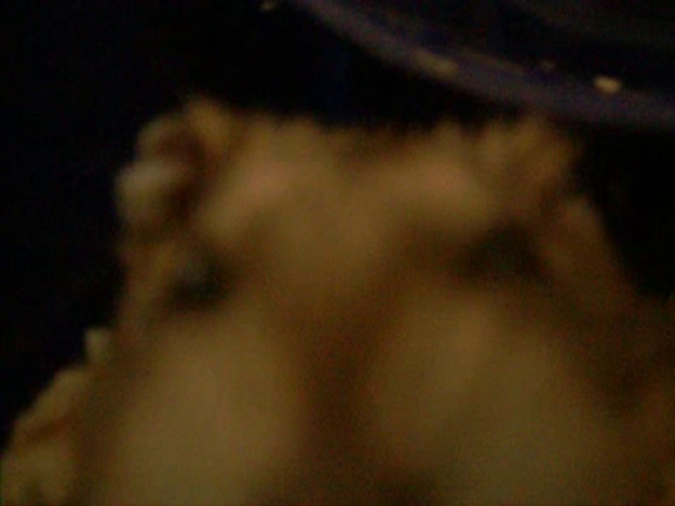 Angry Hamster