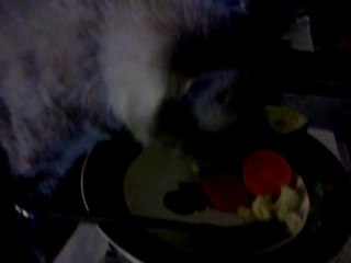 Cat Loves Vegetables