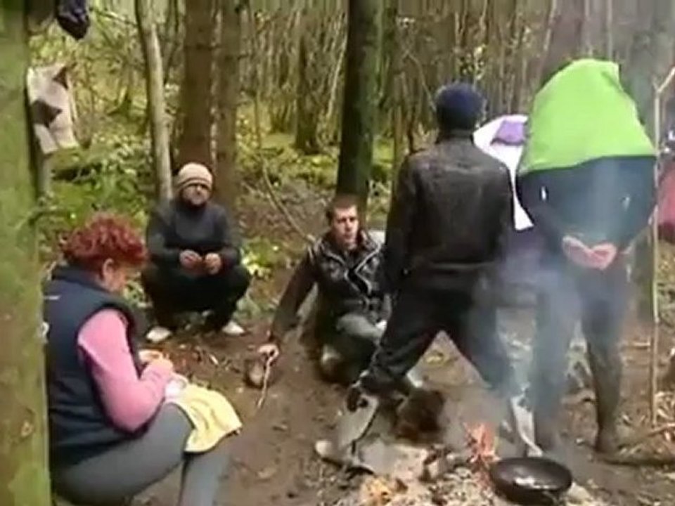 Pillage des forets Francs-comtoises par des roumains