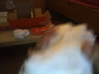 ma maison monster high