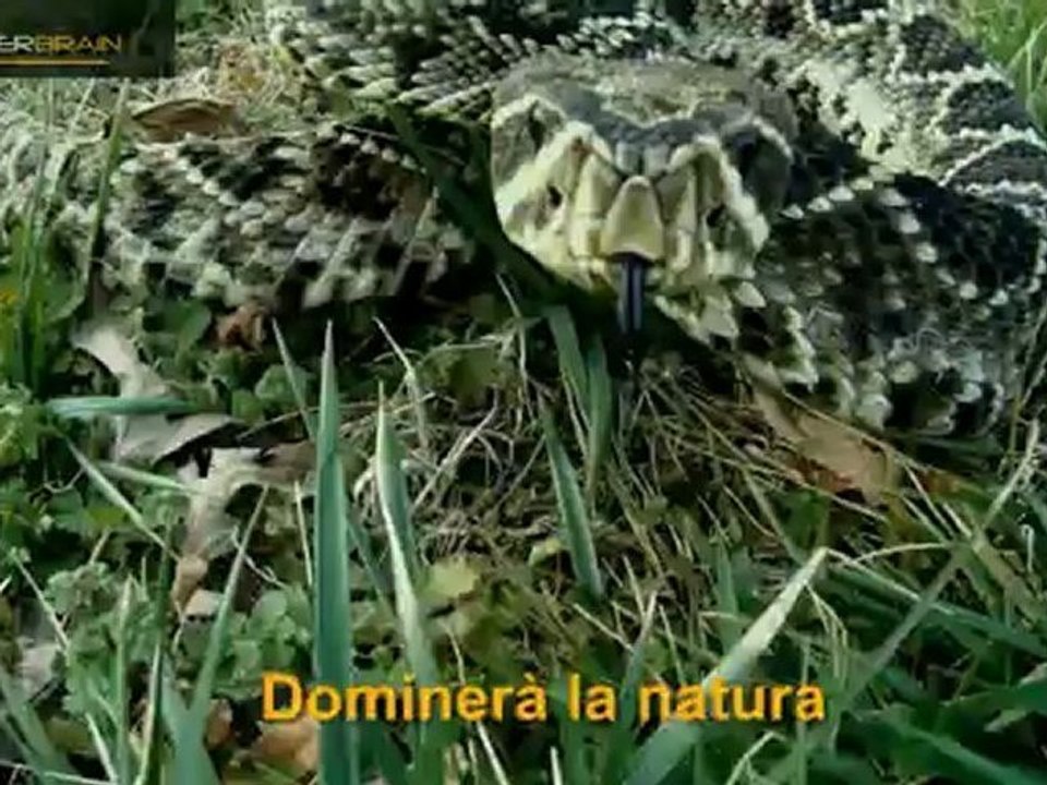 Far-Cry-Experience-Teaser_IT