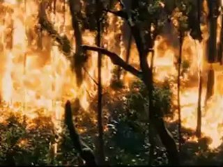 The Hunger Games - Forest Fire Scene HQ