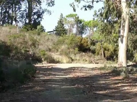 Course des Paroisses en images