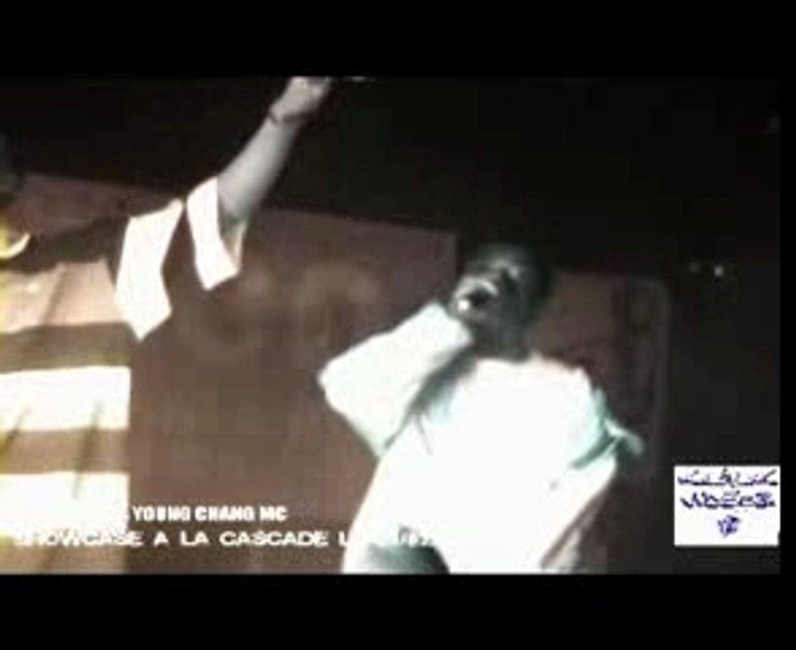 Young chang & Silverman KILALIK VIDEOZ