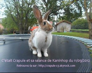 Kaninhop Crapule 4