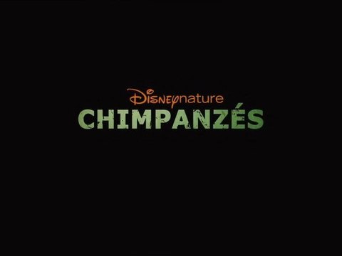 Chimpanzés - Bande-annonce [VF|HD] [NoPopCorn]