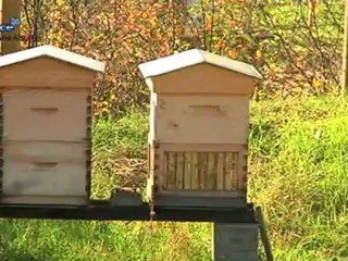 Alsace 20 - Exposition Plantastic au Vaisseau