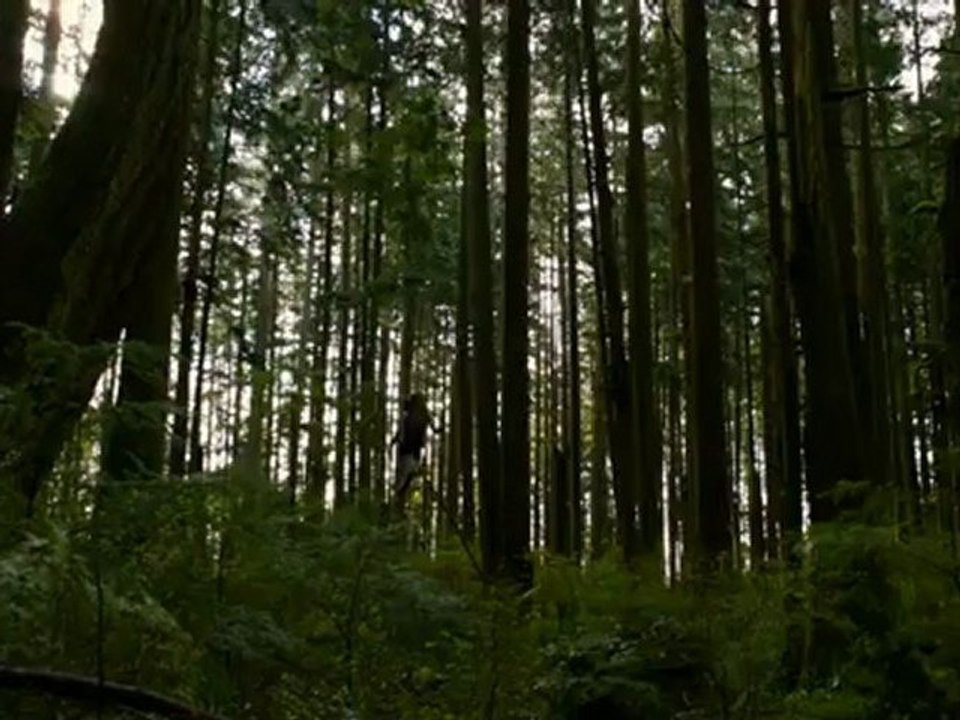 The Twilight Saga Breaking Dawn, Part 2 - Spot TV Forever [VO|HD]