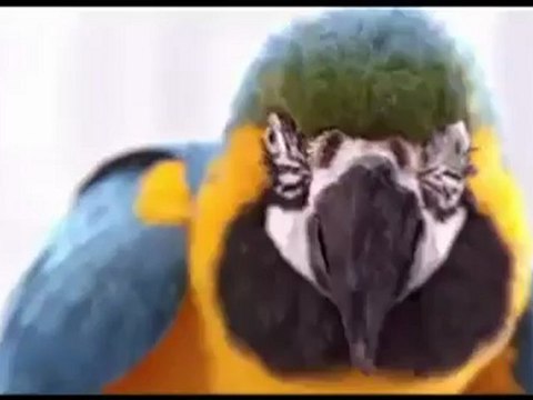 Sửa Bình Nóng Lạnh tại Xuân Thủy 0986687668