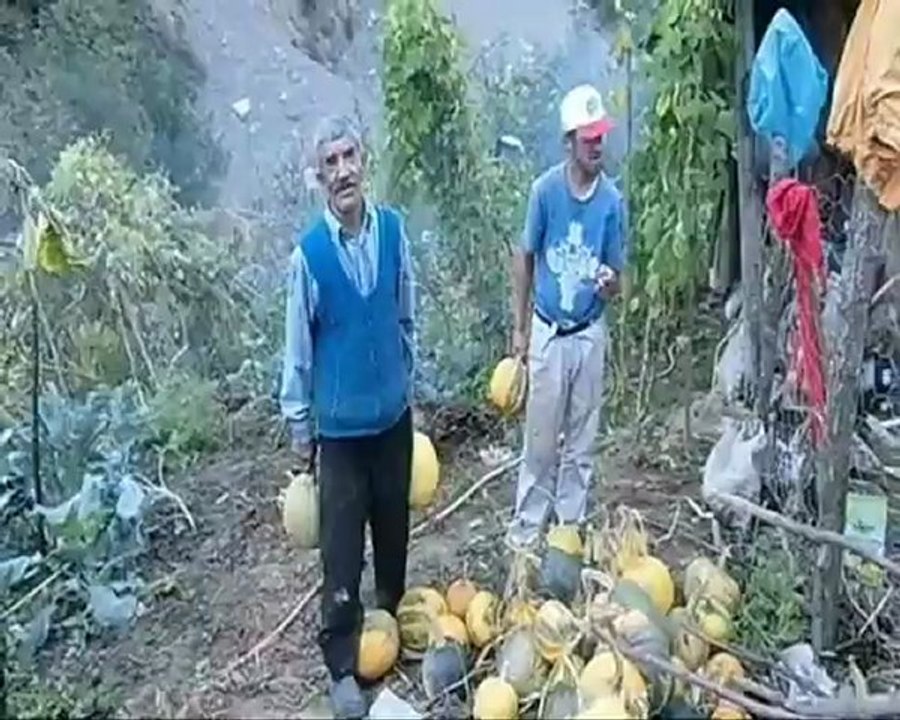 SİNOP TÜRKELİ ÇATAKLI KÖYLÜLERDEN SELAM VAR