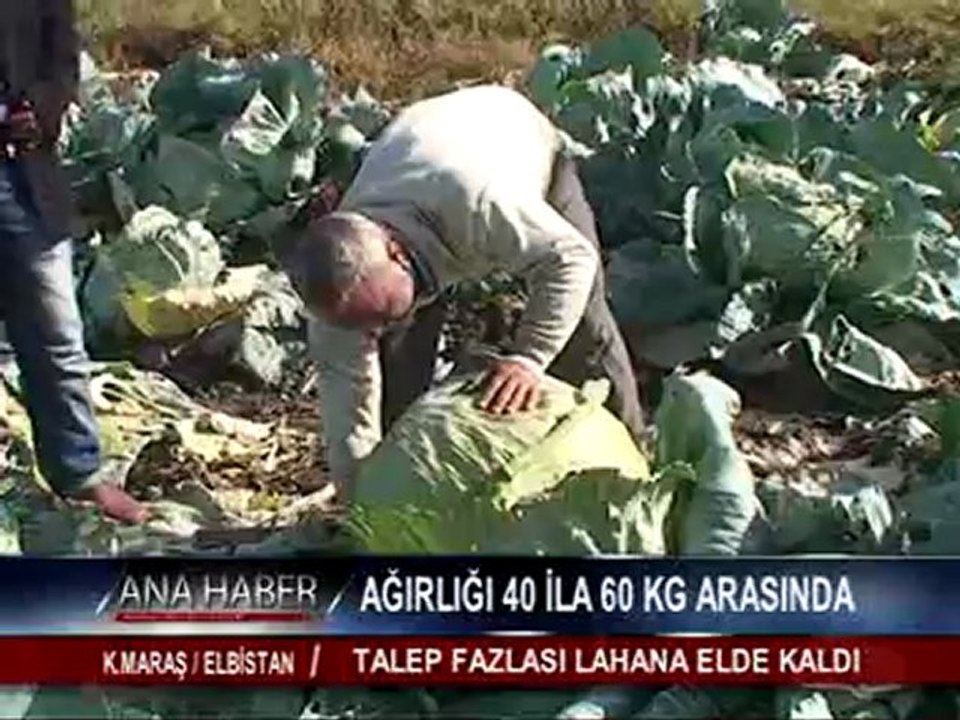 AĞIRLIĞI 40 İLA 60 KG ARASINDA