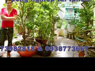 sua dien nuoc tai k,vuc tphcm 0973982818