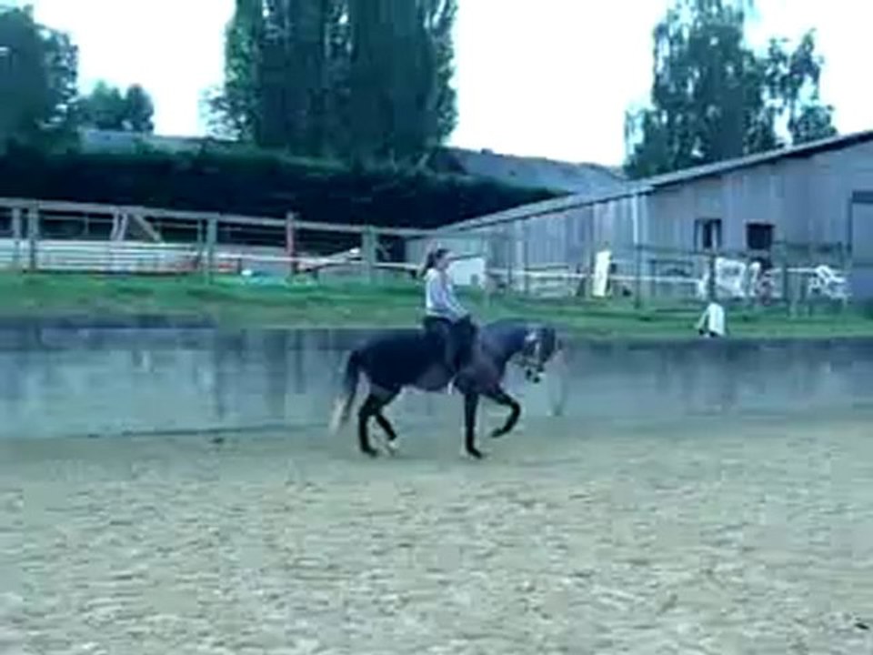 P1030621