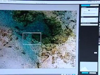 Kunst mit Bakterien | Euromaxx