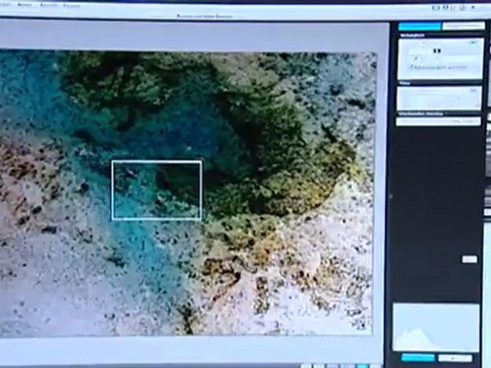 Kunst mit Bakterien | Euromaxx