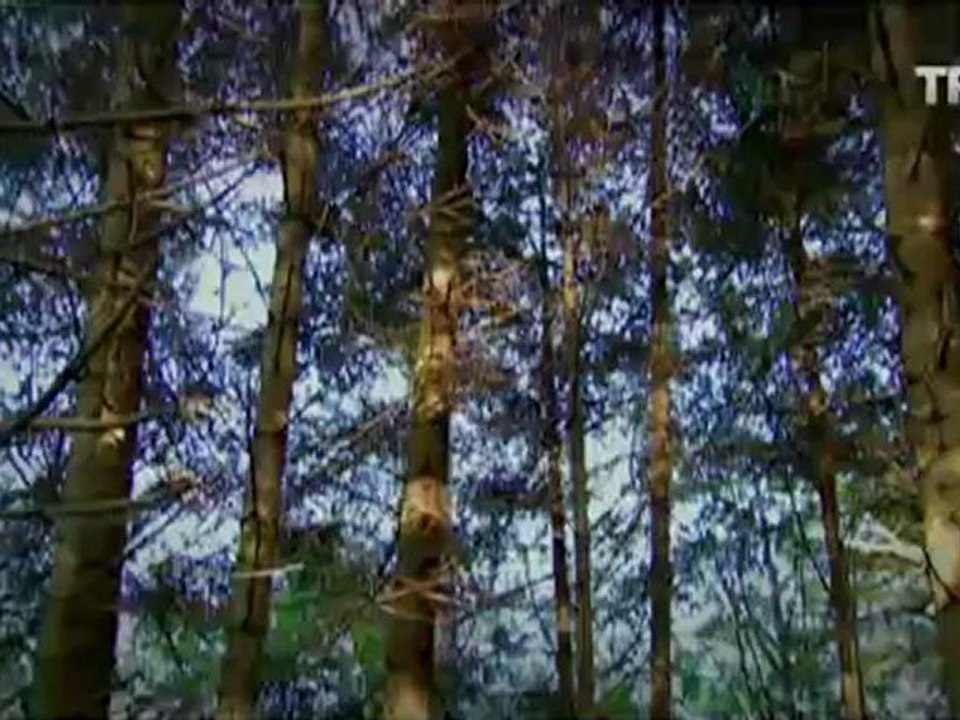 Zengin Kız Fakir Oğlan Bölüm 8 Dizi İzle (tek parça)