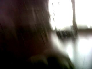 une petitechatte femelle à 3 mois