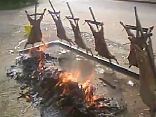 BODAS CAMPERAS LA BAMBINA