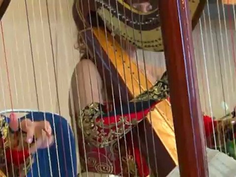 Арфистки Дуэт Арф, Арфистка