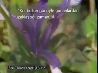 Ebu Turab-ı Nahşebi Hazretleri