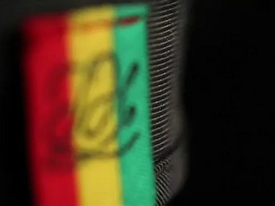 Snowleader présente les moufles Team Fillmore Tanner Hall de Dakine