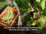 Trailer Ça,c'est fait! - Vendanges