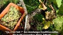 Trailer Ça,c'est fait! - Vendanges