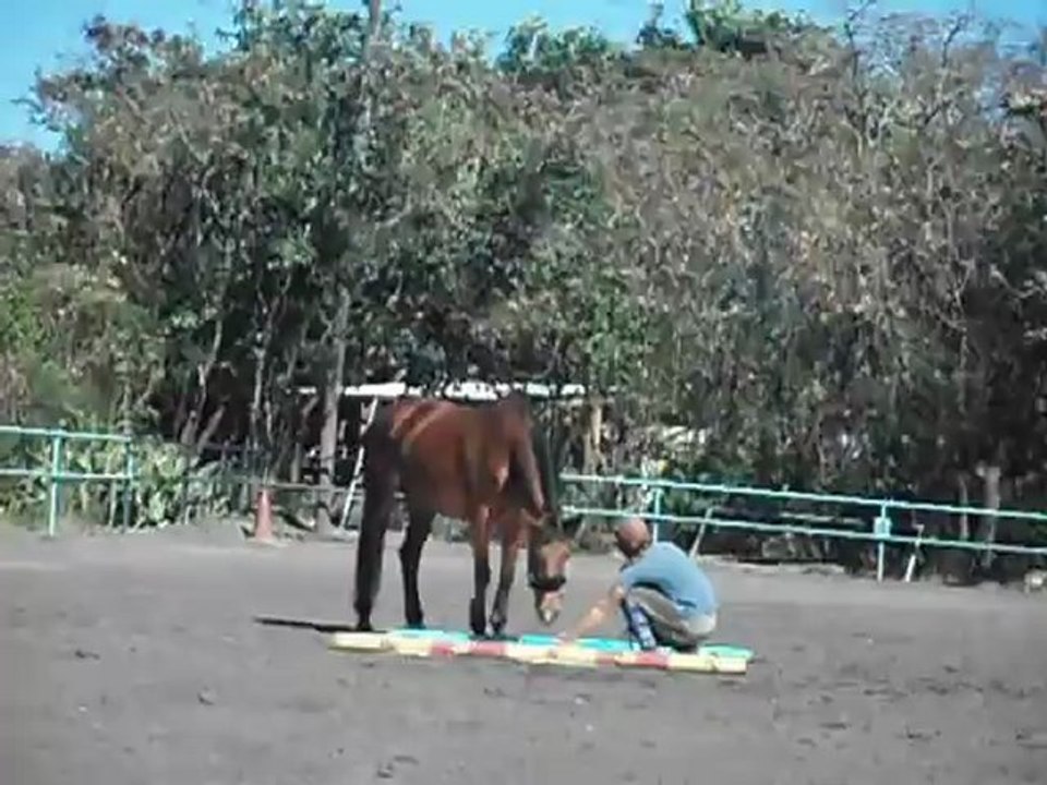 couverture de survie 2