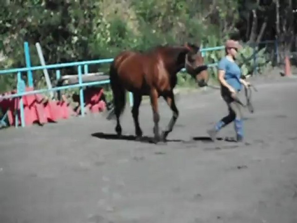 couverture de survie 1