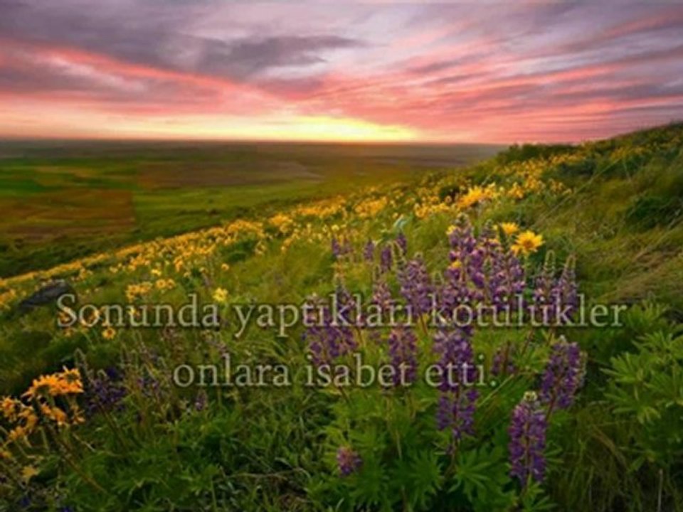 Kuran öğrenmek istiyorum diyenlere görüntülü kuran videosu